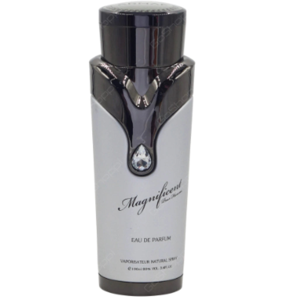 Magnificent Pour Homme