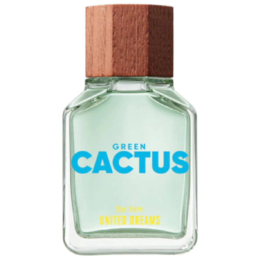 Green Cactus For Him
